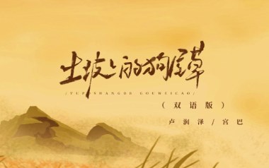 土坡上的狗尾草吉他谱_封面