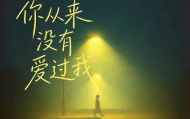 你从来没有爱过我吉他谱_封面
