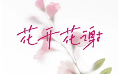 花开花谢花漫天吉他谱_封面