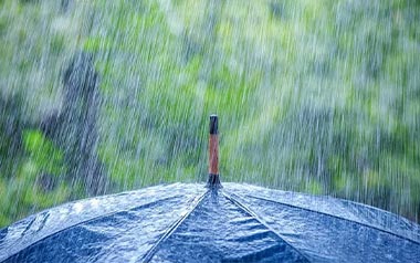 雷雨季节吉他谱_封面