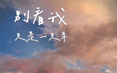 别看我是一只羊吉他谱_封面
