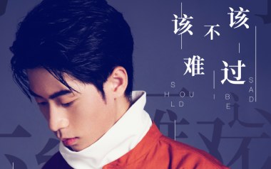 该不该难过吉他谱_封面