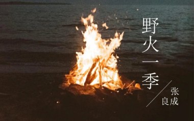 野火一季吉他谱_封面