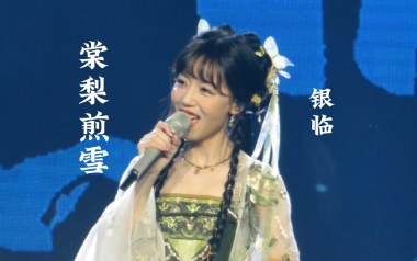 棠梨煎雪吉他谱_封面