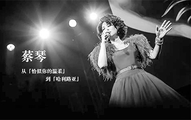 恰似你的温柔吉他谱_封面