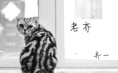 老齐吉他谱_封面