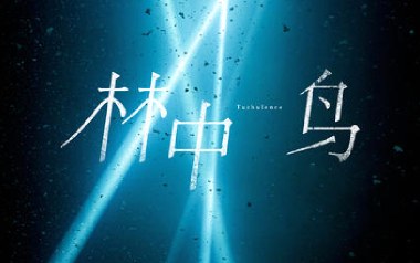 林中鸟吉他谱_封面