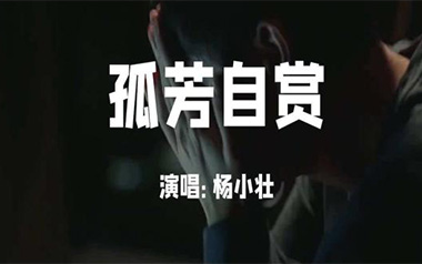 孤芳自赏吉他谱_封面