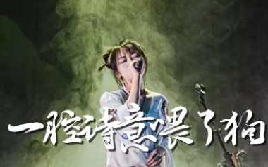 一腔诗意喂了狗吉他谱