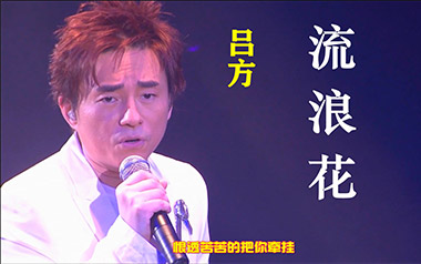 流浪花吉他谱_封面