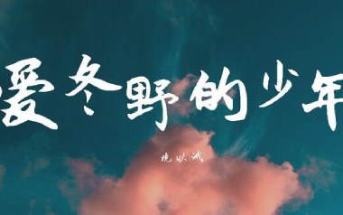 爱冬野的少年吉他谱_封面