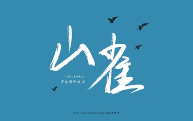 山雀吉他谱_封面