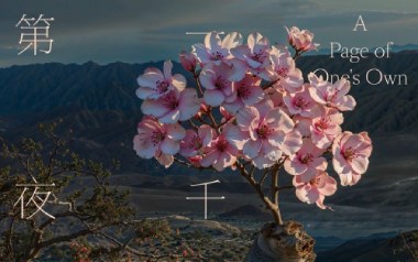 爱河吉他谱_封面