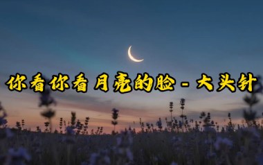 你看你看月亮的脸吉他谱_封面