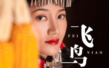 飞鸟吉他谱_封面