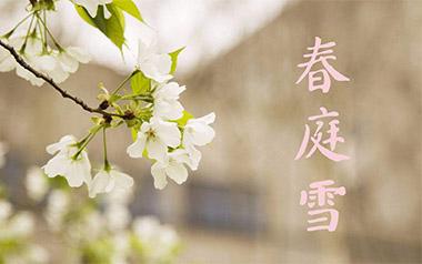 春庭雪吉他谱_封面