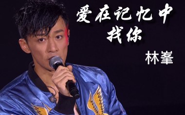 爱在记忆中找你吉他谱_封面