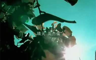 晴天吉他谱_封面