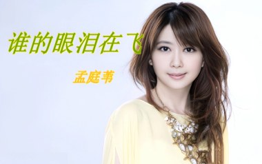 谁的眼泪在飞吉他谱_封面