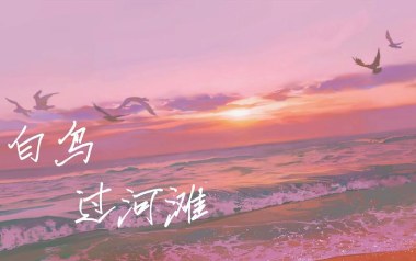 白鸟过河滩吉他谱_封面